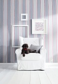 Dog on chair in front of striped wallpaper with picture frame