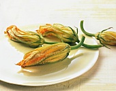 Zucchini flowers on plate