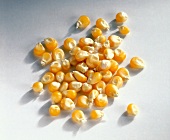 Canned sweet corn kernel on white background