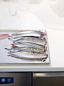 Boneless mackerel marinated in salt water
