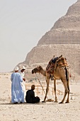 Arab people sitting with camel in desert against Pyramid of Djoser, Saqqara, Egypt