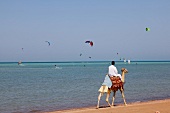 Man riding camel on Marina beach during kite festival, Egypt