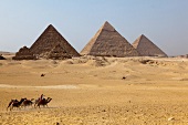 View of The Great Pyramid of Giza, Egypt