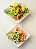 Allergenarm, Gartensalat, Kohl rabi-Melonen-Salat