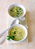 Broccoli soup and cream of leek soup in two bowls