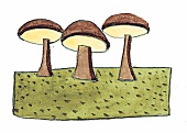 Pilze, Illustration 