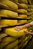Franche-Comté, Käseherstellung von Comté im Fort de Saint-Antoine