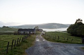 View of green field and houses with fog on landscape in Scotland