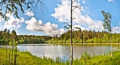 View of Mazury lake near Mikolajki in Warmia-Masuria, Poland