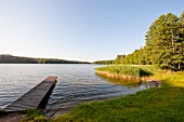 View of trees and lake in Mikolajki, Warmia-Masuria, Poland