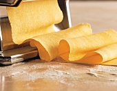 Close-up of pasta dough being rolled out