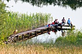 People fishing on jetty of Masurian Lake District, Mikolajki, Warmia Masuria, Poland