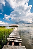 Polen:  Ermland-Masuren, Masuren, nahe Mikolajki, Vogelinsel
