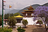 View of pagoda in Punakha Dzong, Bhutan