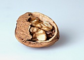 Close-up of walnut on white background