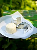 Three types of goat cheese from Redderhof in Lubeck