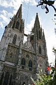 Regensburger Dom Regensburg Bayern