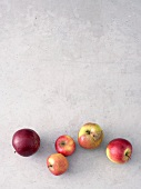 Zusammenstellung Äpfel, Apfelsorten 