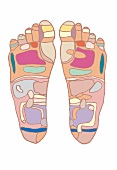 Illustration, Füße von unten, Fußsohlen, Fußreflexzonen