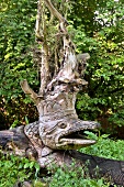 Wooden sculpture amongst trees in Galindia Mazurski Eden, Warmia Masuria, Poland