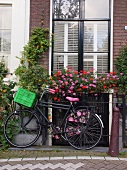 Bicycle parked near railing with front basket, Amsterdam, Netherlands