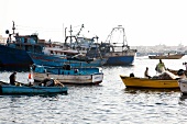 Fishing boats at the Port of Alexandria, Egypt
