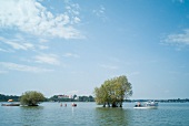 View of sandbar, boats and trees in Krautinsel, Germany