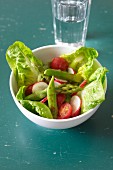 Warm asparagus salad with lettuce, tomatoes and radishes