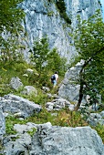 Man hiking on rock mountain at Spitzstein, Chiemgau, Bavaria, Germany