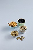 Different types of legumes in bowls on white background
