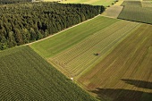 Green field in Sollhuben, Riedering, Bavaria, Germany, Aerial view