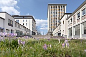 Pedestrian and building at Kassel, Hesse, Germany