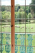 View of sheep grazing on farm land