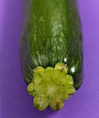 Close-up of courgette on purple background