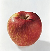 Food, Apfel der Sorte "Premier Red" aus Neuseeland, Freisteller