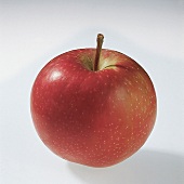 Food, Apfel der Sorte "Summerred"  aus Kanada, Freisteller