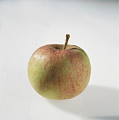 Food, Apfel der Sorte "Cortland" aus den USA, Freisteller
