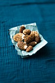 Morel mushrooms on a piece of paper