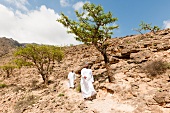 Men in valley with Weihrauchbaeume in Salalah, Dhofar, Oman