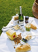 Champagne bottle with salami and baguettes on white picnic blanket