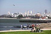 View of beach and cityscape of San Francisco, California