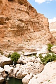View of Wadi Bani Khalid from Muscat, Oman