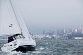 Meer, Segelboot, Nebel, San Francisco