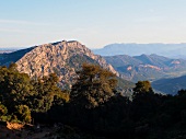 View of mountain ranges and trees in in Supra Monte, Barbagie, Sardinia, Italy