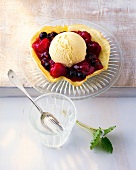 Raspberry and elderberry fruit jelly with vanilla ice cream on glass plate