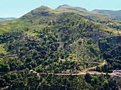 Sardinien, Gebirge Monti del Gennargentu, grün