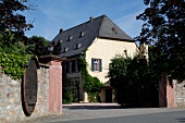 Baron Knyphausen Weingut Eltville am Rhein