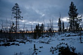 View of snow landscape of Lapland at sunset, Finland