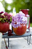 Hydrangeas, flowers, vases, apple vase, apple vases