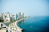 View of Corniche El-Manara skyline at waterfront with palm trees, Beirut, Lebanon